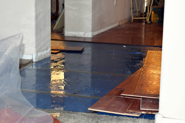 Professional Basement Flood Cleanup technician working in Ogdensburg, WI
